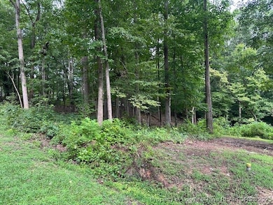 162 Woodwedge Way, Sanford, NC 27332 - photo 5