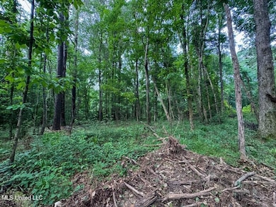 2 Old Hamburg Roxie Rd NW, Roxie, MS 39661 - photo 2