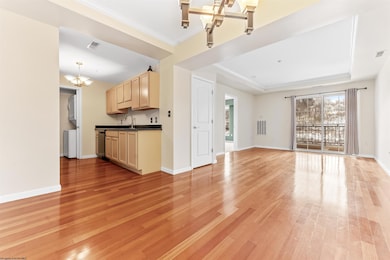 View at the Park I, Morgantown, WV 26505 - photo 4