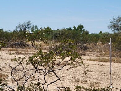 Land Photo 2