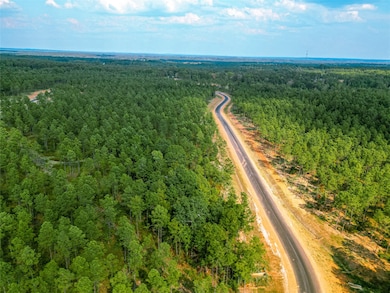 214 Millwood Loop unit 45, Minden, LA 71055 - photo 6