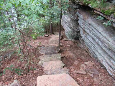 73 Brighton Pointe Ln, Heber Springs, AR 72543 - photo 3