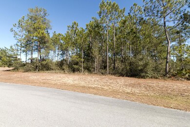 Windswept Dunes Lot 23 (4)