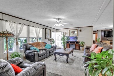 Formal Living area and entry way
