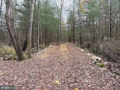 Lot#25 Brooke Trout Dr, Wardensville, WV 26851 - photo 5