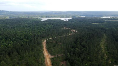 TBD the Plantation Rd, Kirby, AR 71950 - photo 4