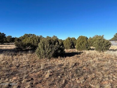 13 Lone Pine Dam Rd, Show Low, AZ 85901 - photo 4