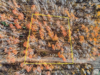 5156 N Pebble Dr unit 75, Midway, UT 84049 - photo 6