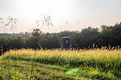 State Highway D (82 1+ - Acres unit Tract 4, Eolia, MO 63344 - photo 4