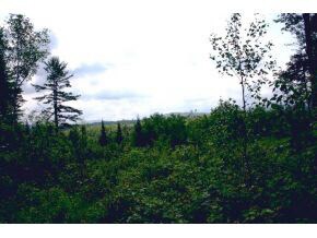 49.5 Deer Run, Bethlehem, NH 03574 - photo 2