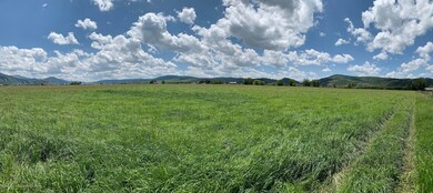 IMG_4597S
