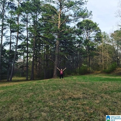 2215 Shiver Dr unit 2 lots, Bessemer, AL 35022 - photo 2