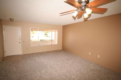 CUSTOM PAINT - NEW CARPET!!!