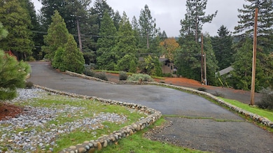 0 Pearl Rd, Pollock Pines, CA 95726 - photo 2