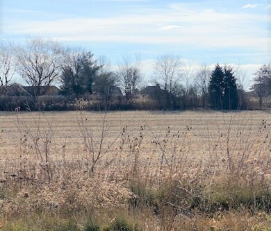 15355 W 159th St, Lockport, IL - photo 4