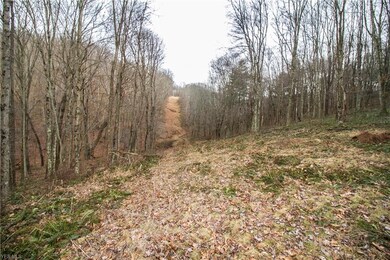 0 Township Highway 539, Loudonville, OH 44842 - photo 2