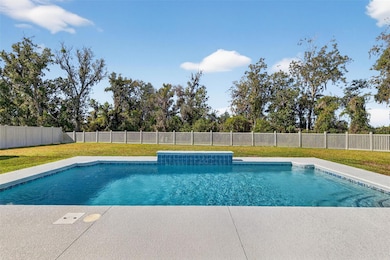 2730 Alder Ave, Middleton, FL 34762 - photo 2