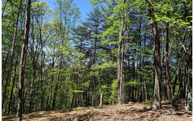 Additional View