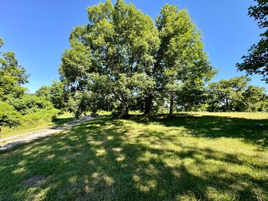 4532 Talmage Mayo Rd, Harrodsburg, KY 40330 - photo 3