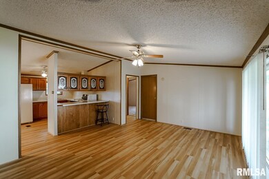 11 Pinewood Estate, Chillicothe, IL 61523 - photo 2