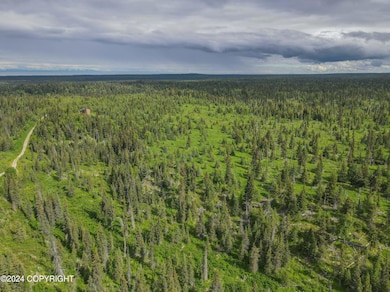 000 Stag Stream Ln, Nikolaevsk, AK 99556 - photo 7