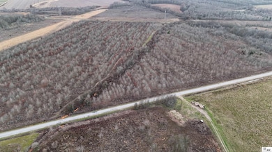 000 Futch Rd, Rayville, LA 71269 - photo 5