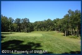 18 Palmer Court Dr, Drums, PA 18222 - photo 5