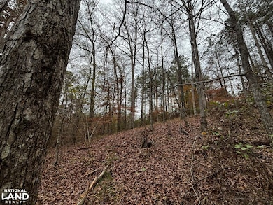 8735 Fernbank Rd, Millport, AL 35576 - photo 6