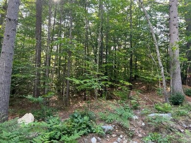 10 Grandval Way, Madison, NH 03849 - photo 2