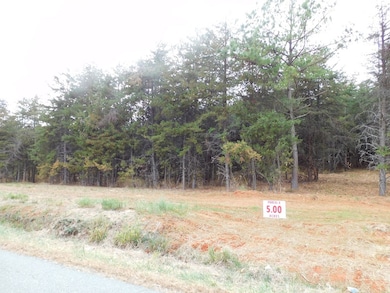 5 (P4) Brights Rd, Gretna, VA 24557 - photo 3