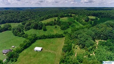 1300 Stella Rd, Prospect, TN 38477 - photo 7