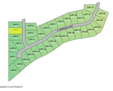 7360 E Obsidian Loop, Wasilla, AK 99654 - photo 3