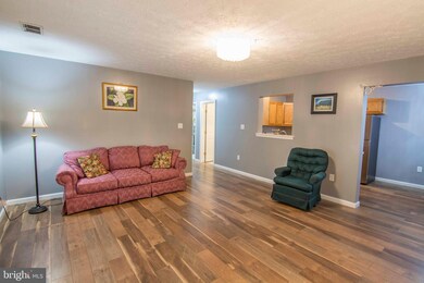 145 Hailey Ln unit F1, Strasburg, VA 22657 - photo 7