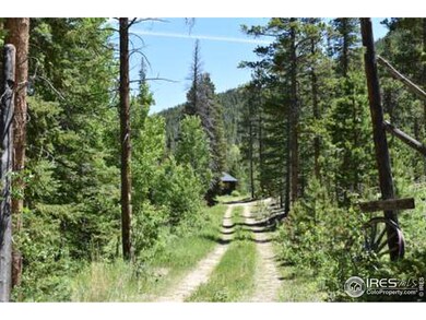 86 Arapaho Dr, Bellvue, CO 80512 - photo 2