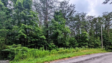 LOT32 Lakeview Dr, Turtletown, TN 37391 - photo 5