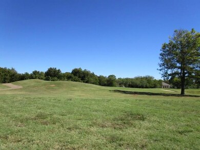 22070 Shady Grove Ct, Whitney, TX 76692 - photo 5