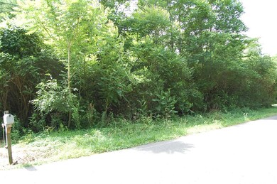 1283203 - 0 Old St Hwy 28 004