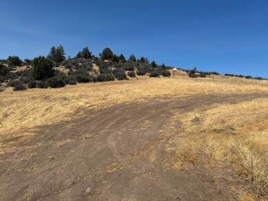 Unit 3 Lot 145 Whitepine Rd unit 3, Hornbrook, CA 96044 - photo 2