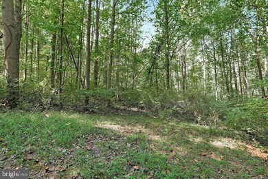 0 Terrapin Neck Rd, Shepherdstown, WV 25443 - photo 7