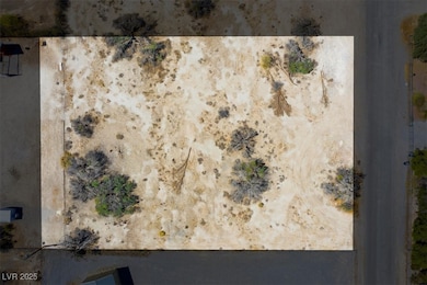 1921 W Dyer Rd, Pahrump, NV 89048 - photo 5