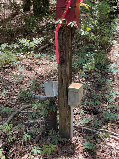 161 Royal Oaks Ct, Crawfordville, FL 32327 - photo 7