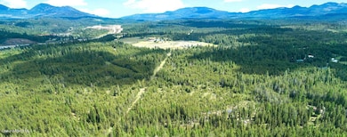 NKA Hwy 95, Athol, ID 83801 - photo 3