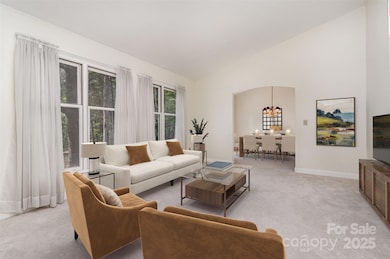 15133 Torrence Branch Rd, Charlotte, NC 28278 - photo 6