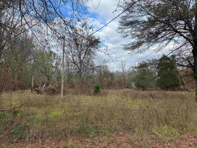000 Jones Island Rd N, Searcy, AR 72143 - photo 7