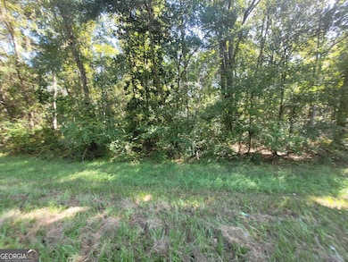 LOT 224 Chula Brookfield Rd, Tifton, GA 31794 - photo 4