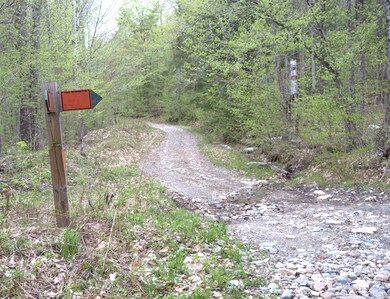 0 Mosquito Schoolhouse Rd unit 4951885, Newport, NH 03773 - photo 7