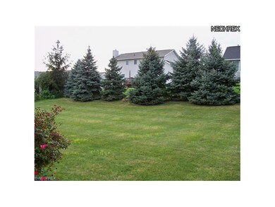 Beautiful Blue Spruce Pines line the rear of the y