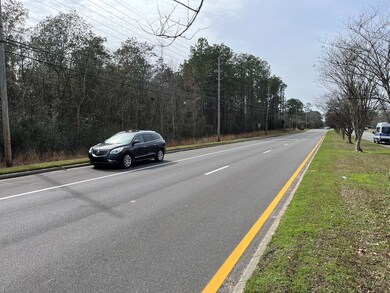 NHN Highway 43 N, Picayune, MS 39466 - photo 4