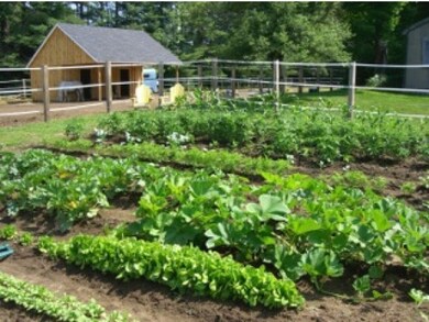 16 Mad River Rd, Campton, NH 03223 - photo 6