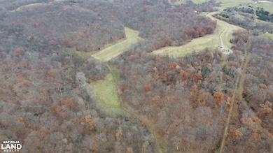 15966 Pine Trail, Unionville, MO 63565 - photo 4